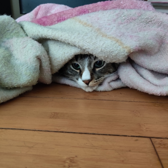 Meet your Posher, Maggie - Picture 10 of 16